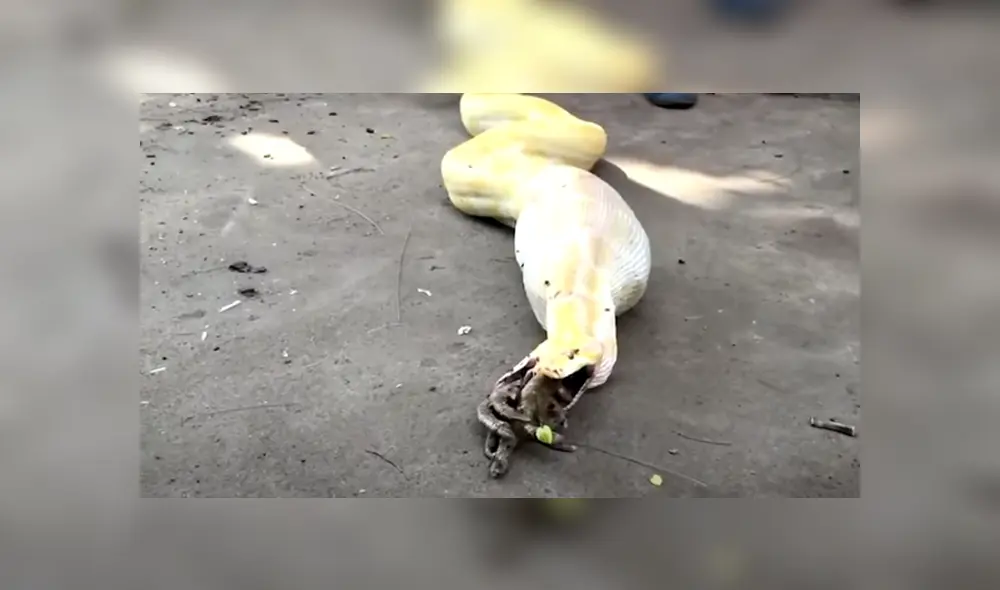 Desliza hacia la izquierda para ver las imágenes del viral de YouTube.