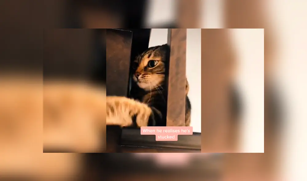 Desliza para ver todas las imágenes de Facebook. Foto: captura