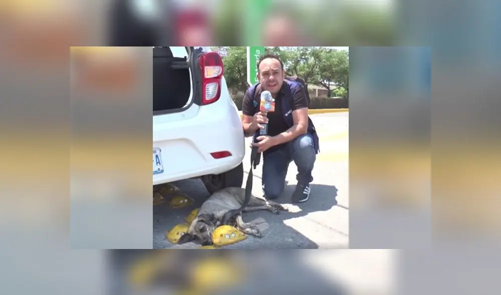 Desliza las imágenes para conocer el desenlace de esta tierna historia que es viral en Facebook Foto: Rafael Figueroa Desliza las imágenes para conocer el desenlace de esta tierna historia que es viral en Facebook Foto: Rafael Figueroa
