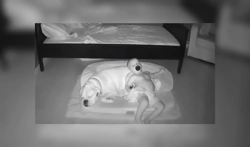 Un bebé no quería seguir durmiendo solo y se bajó de su cama para acostarse con su perro. Foto: YouTube