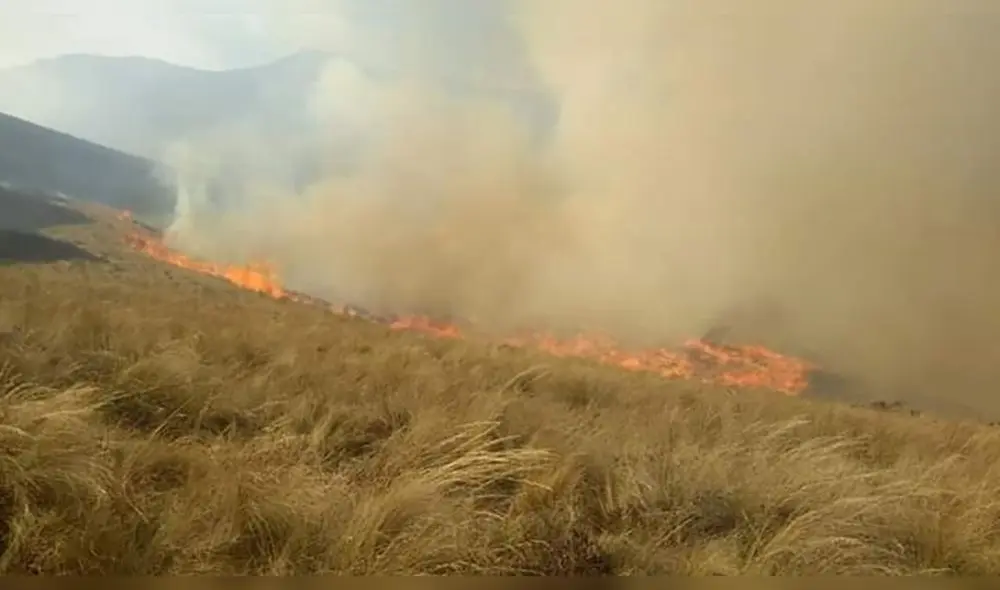 Incendio Parque del Manu Incendio Parque del Manu