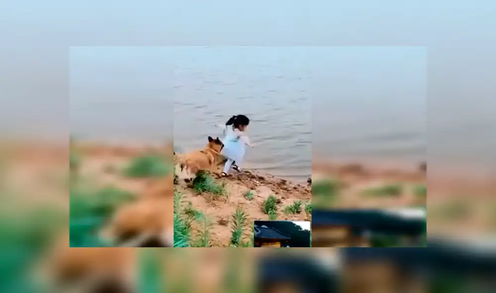Facebook viral: niña se aproxima a peligroso río para sacar pelota y su perro llega a su rescate [VIDEO] 