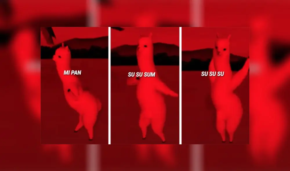 El video se vitalizó desde el mes de junio y, hasta el momento, las personas piensan que la canción dice "Mi pan". (Foto: TikTok/@awa_de_horchata_uwu) El video se vitalizó desde el mes de junio y, hasta el momento, las personas piensan que la canción dice "Mi pan". (Foto: TikTok/@awa_de_horchata_uwu)