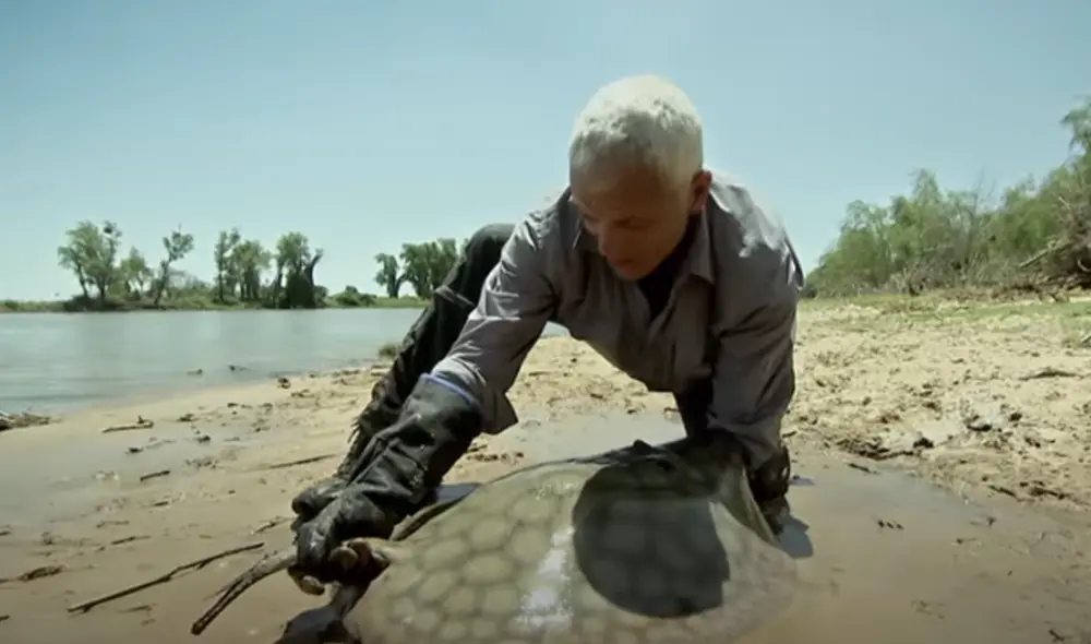 Desliza hacia la izquierda para ver las imágenes del video viral. Foto: Captura de YouTube.