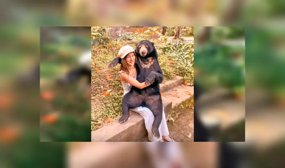 Video es viral en YouTube. Turista se sentó para descansar un rato durante un paseo, sin imaginar la intempestiva llegada del animal, que se acomodó rápidamente sobre sus piernas Video es viral en YouTube. Turista se sentó para descansar un rato durante un paseo, sin imaginar la intempestiva llegada del animal, que se acomodó rápidamente sobre sus piernas