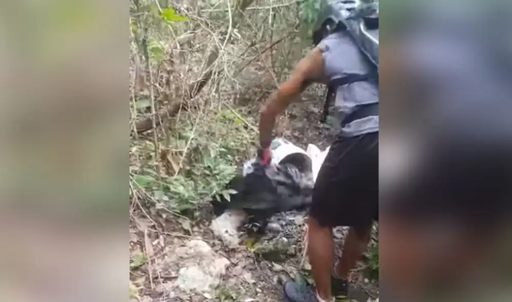 El can se encontraba con el hocico amarrado, por lo que no podía ladrar ni beber un poco de agua. Foto: captura de Facebook