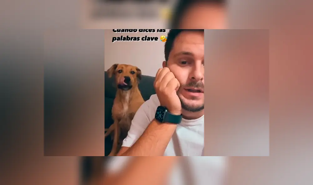 Desliza las imágenes para ver la curiosa reacción de este can al escuchar su ‘palabra favorita’. Fotocapturas: Javi Escudero/TikTok