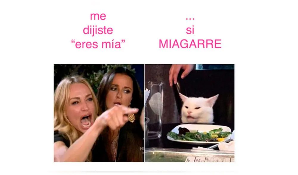 Facebook viral: el verdadero origen del meme de la mujer que le grita furiosa a un gato Facebook viral: el verdadero origen del meme de la mujer que le grita furiosa a un gato