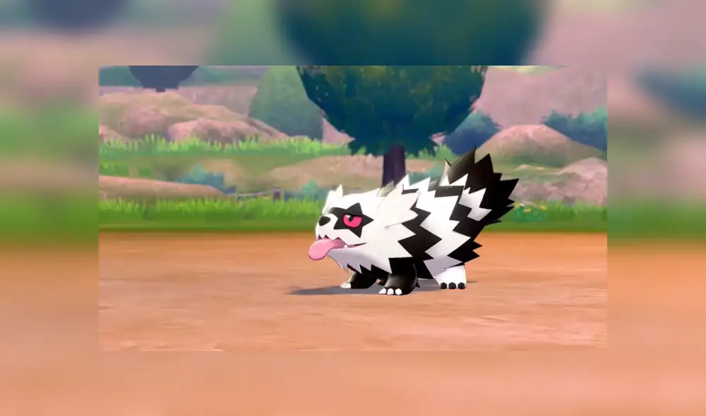 Zigzagoon será de tipo normal y siniestro en Pokémon Shield and Sword.