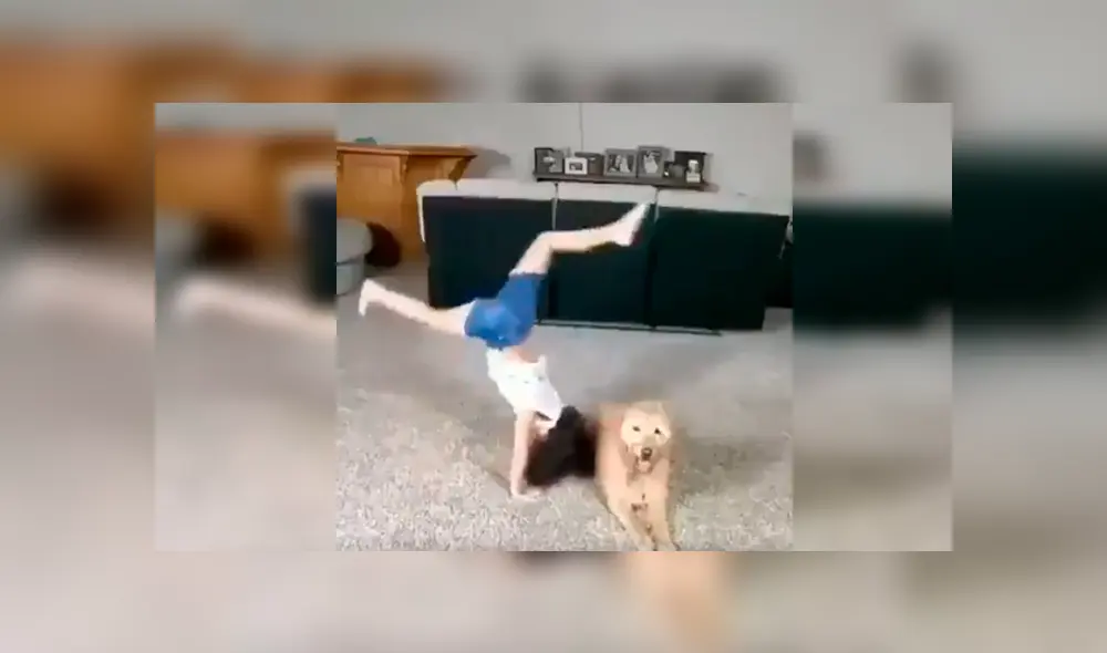 En Facebook, una madre se sorprendió al revisar las imágenes de su cámara de vigilancia y captar una tierna escena de su hija. En Facebook, una madre se sorprendió al revisar las imágenes de su cámara de vigilancia y captar una tierna escena de su hija.