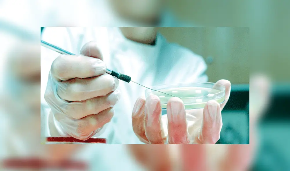 Científico ruso planea crear bebés modificados genéticamente