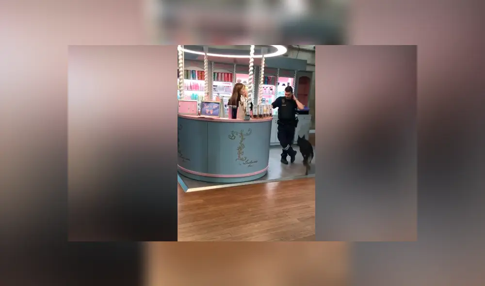 YouTube viral: perro guardián tiene insólita reacción al ver que su ‘compañero’ coquetea con mujer YouTube viral: perro guardián tiene insólita reacción al ver que su ‘compañero’ coquetea con mujer