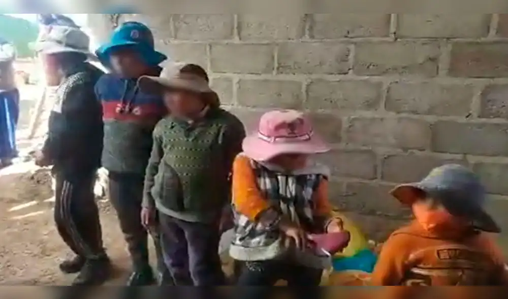 Niños quedaron al cuidado de su tía y ella necesita ayuda.