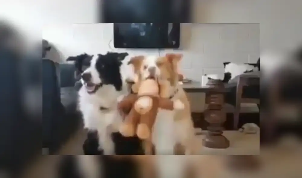 Desliza hacia la izquierda para ver más del video viral Desliza hacia la izquierda para ver más del video viral