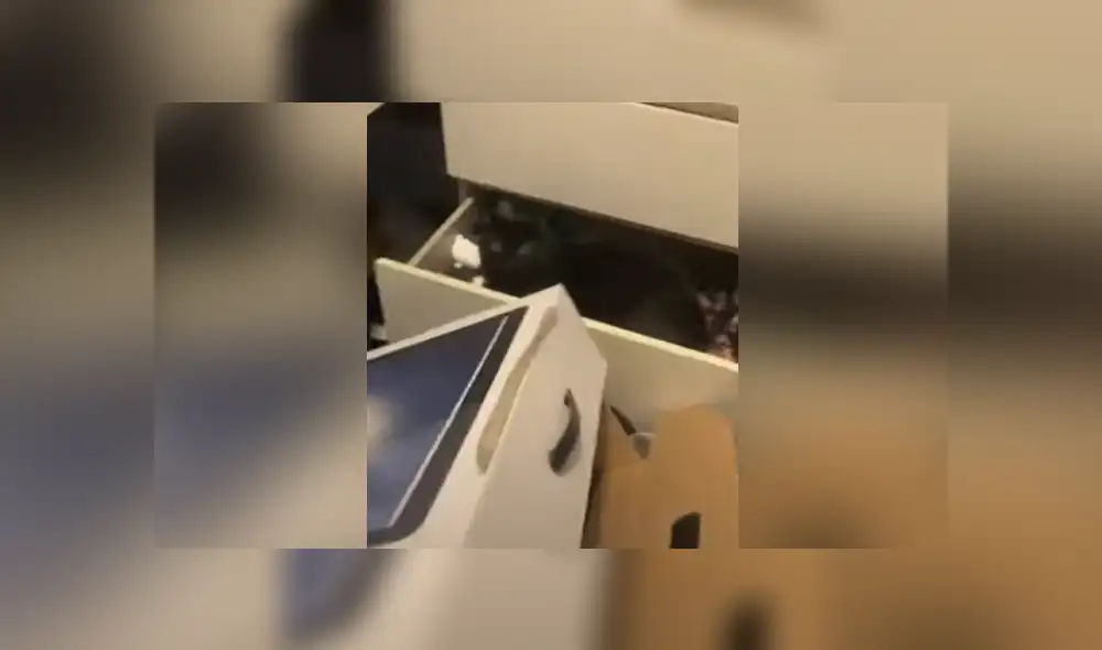 Desliza hacia la izquierda para ver las imágenes del viral de Facebook. Foto: Captura. Desliza hacia la izquierda para ver las imágenes del viral de Facebook. Foto: Captura.