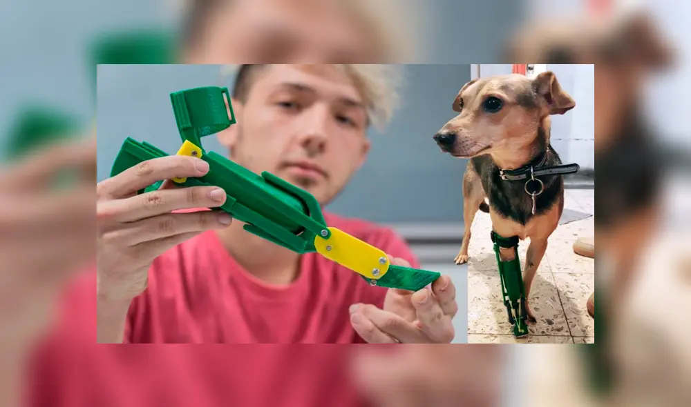 Alejandro Colli ha ayudado a muchos perros a volver a caminar. Foto: Twitter. Alejandro Colli ha ayudado a muchos perros a volver a caminar. Foto: Twitter.