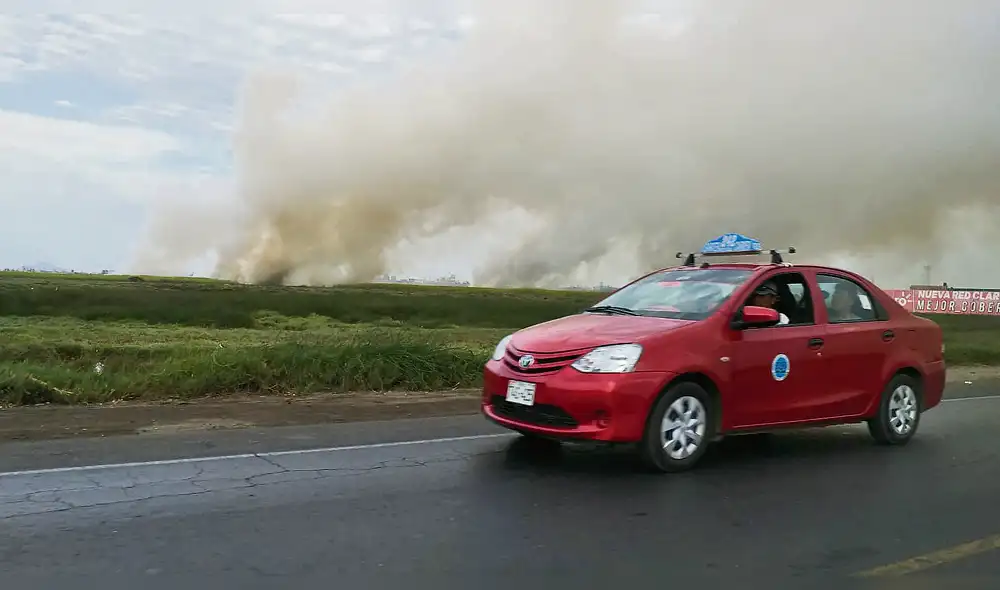 Incendio arrasa con más de 20 hectáreas de humedales de Villa María