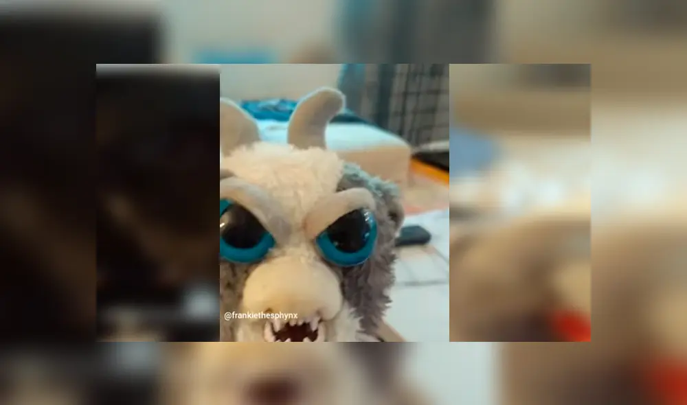 En Facebook, un chico utilizó un terrorífico muñeco para asustar a su perro sin imaginar su reacción. En Facebook, un chico utilizó un terrorífico muñeco para asustar a su perro sin imaginar su reacción.