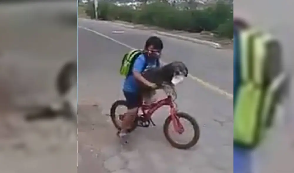 Las imágenes del niño poniéndose mascarilla y a su perro han dado la vuelta al mundo. Foto: Captura/Facebook/San Bartolomé Pinillo Las imágenes del niño poniéndose mascarilla y a su perro han dado la vuelta al mundo. Foto: Captura/Facebook/San Bartolomé Pinillo