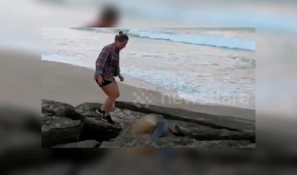 Jóvenes encuentran misteriosa criatura atrapada entre las rocas.