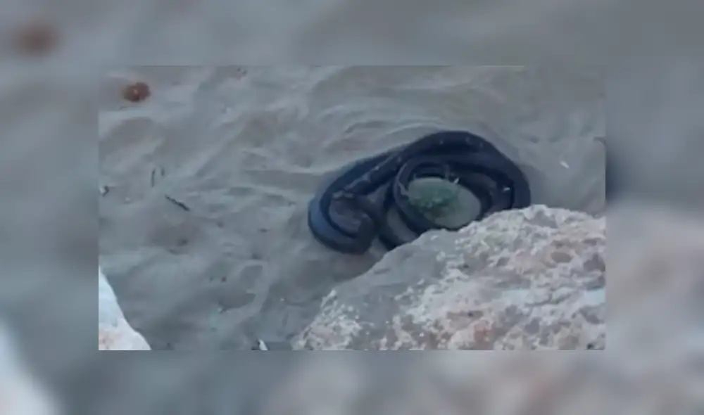 YouTube viral: misteriosas criaturas negras surgen de enormes rocas y aterran a turistas [VIDEO]