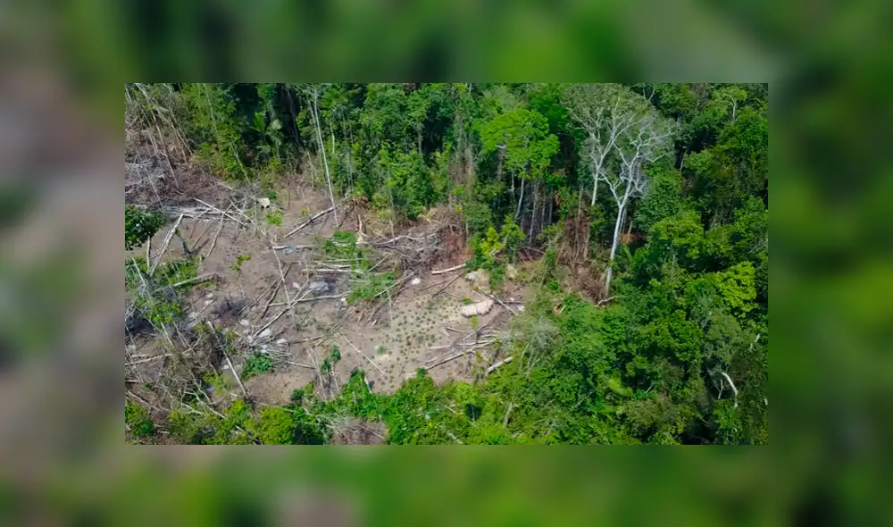 YouTube: increíbles imágenes captadas por un dron de una tribu aislada en Brasil [VIDEO]
