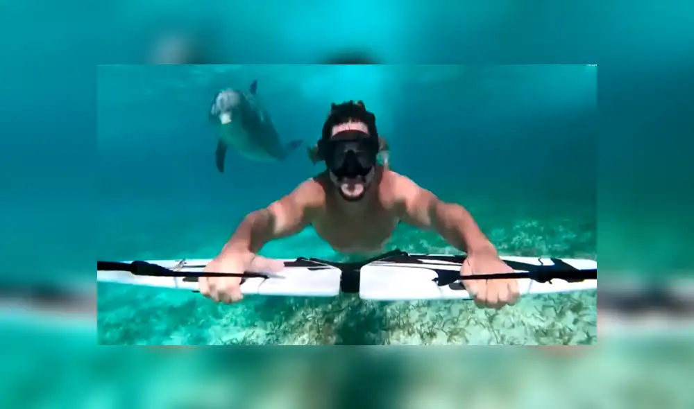 Facebook viral: delfín nada junto a muchachos que practicaban deporte acuático en isla del Caribe [VIDEO]