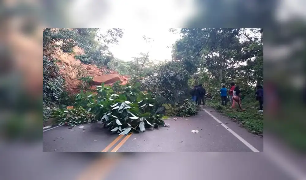 Vía que une Yurimaguas - Tarapoto colapsa tras sismo de 8.0 grados en Loreto 