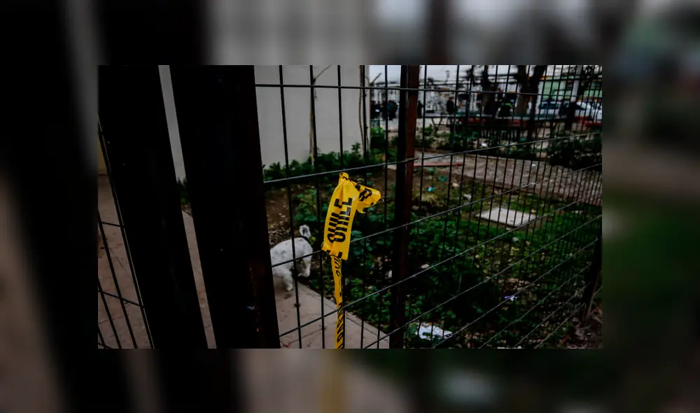 Detienen a 14 colectiveros por explotar sexualmente a adolescente desde los 13 años Detienen a 14 colectiveros por explotar sexualmente a adolescente desde los 13 años