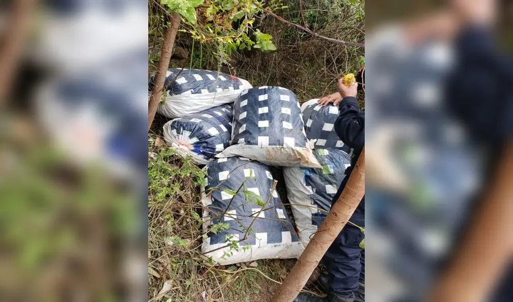 Incautan 100 kilos de marihuana en Sánchez Carrión. Incautan 100 kilos de marihuana en Sánchez Carrión.