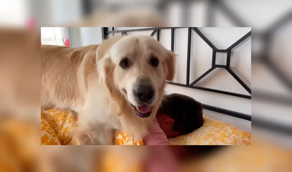 Desliza hacia la izquierda para ver las imágenes del viral de Facebook. Desliza hacia la izquierda para ver las imágenes del viral de Facebook.