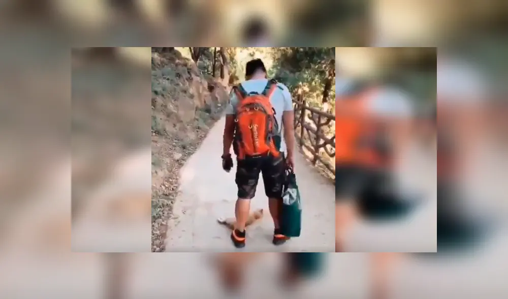 El felino persiguió a su amo e intentó retenerlo con una peculiar conducta que se ha hecho viral en YouTube El felino persiguió a su amo e intentó retenerlo con una peculiar conducta que se ha hecho viral en YouTube