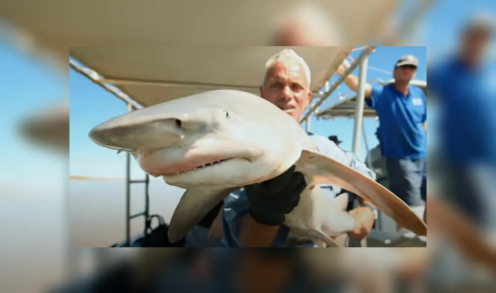 Desliza hacia la izquierda para ver las imágenes del viral de YouTube.