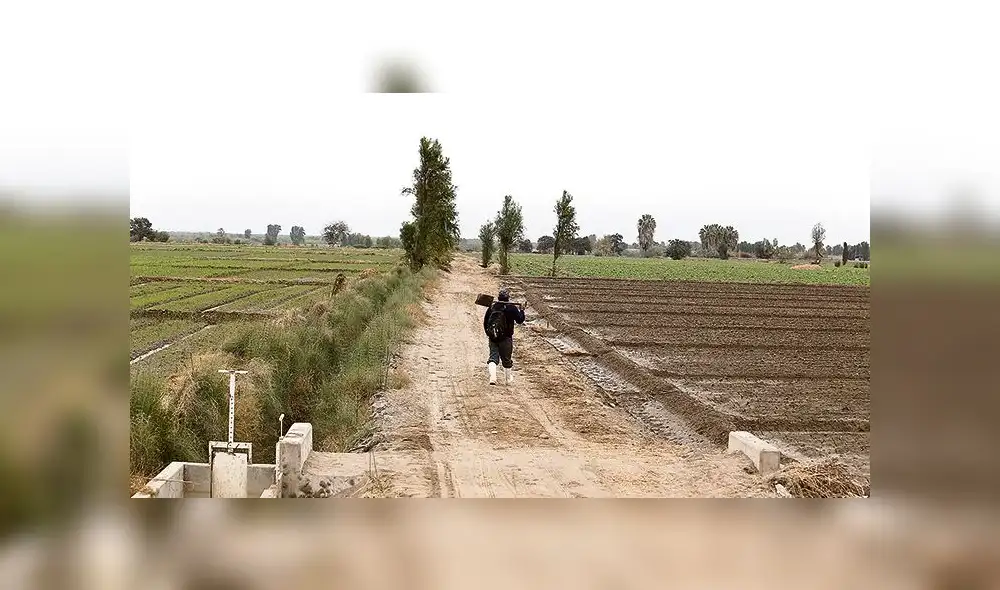 VALLE DE TAMBO - TIA MARIA VALLE DE TAMBO - TIA MARIA