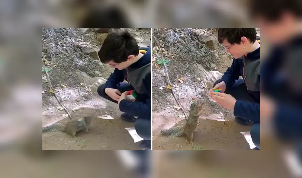 En Facebook, una ardilla quedó fascinada con la habilidad de un chico y quiso imitar sus movimientos.
