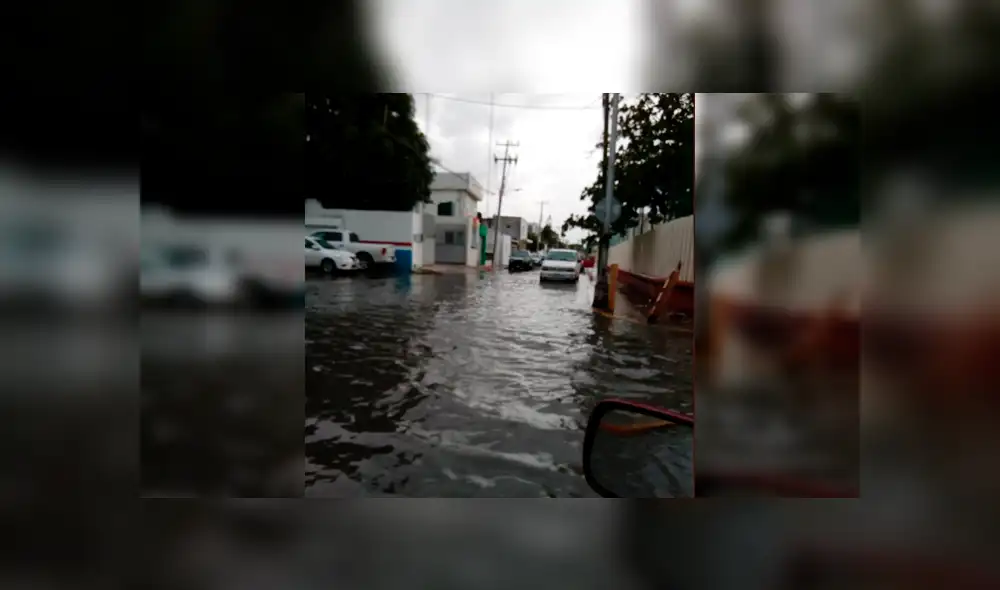 Bajas temperaturas son provocadas por fenómeno meteorológico. (FOTOS: Twitter) Bajas temperaturas son provocadas por fenómeno meteorológico. (FOTOS: Twitter)