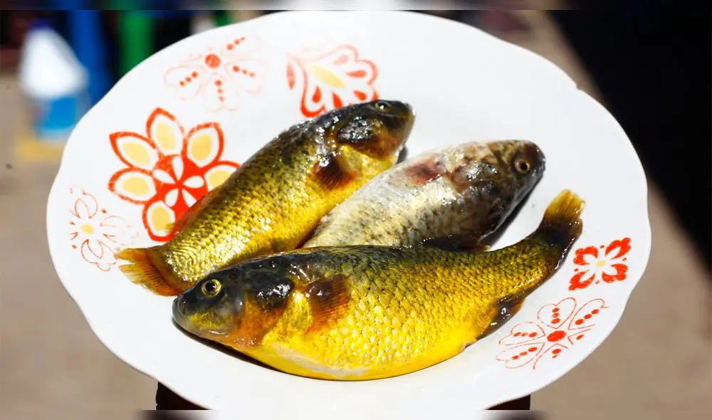 Puno. Carachis, el principal ingrediente de uno de los platos más destacados del altiplano. Foto: Juan Carlos Cisneros Puno. Carachis, el principal ingrediente de uno de los platos más destacados del altiplano. Foto: Juan Carlos Cisneros