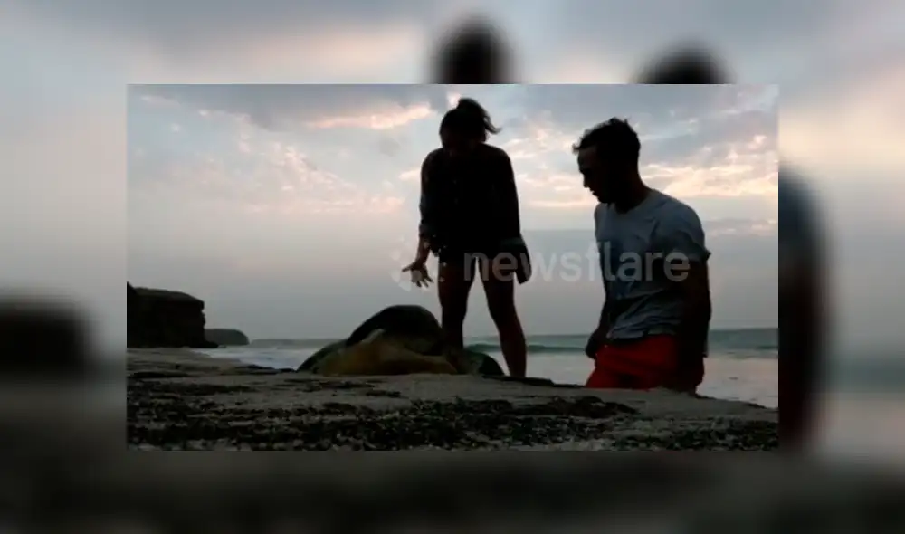 Jóvenes encuentran misteriosa criatura atrapada entre las rocas.