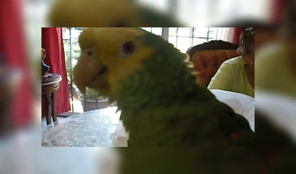 Desliza para ver los detalles del video que se volvió viral en Facebook. Foto: Captura. Desliza para ver los detalles del video que se volvió viral en Facebook. Foto: Captura.