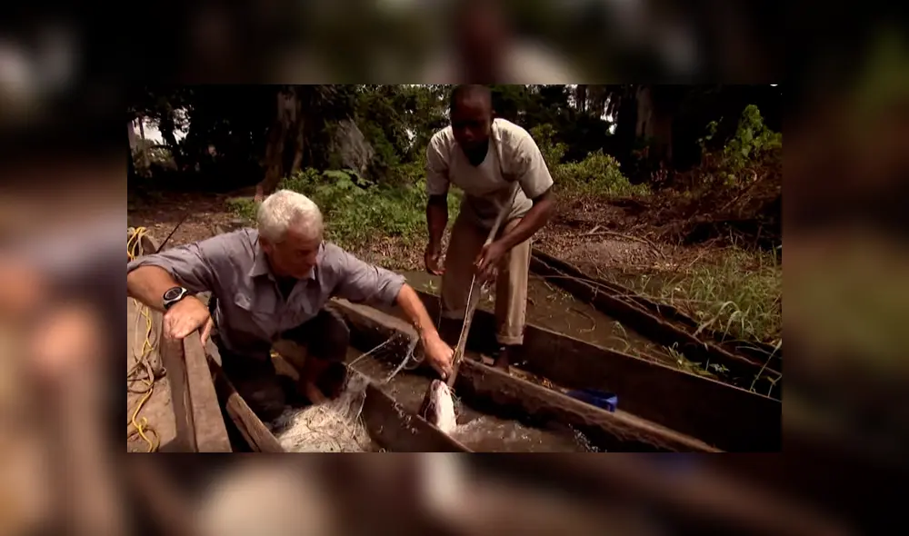 Si quieres ver el aspecto del misterioso pez que aparece en el video de YouTube, desliza cada imagen hacia la izquierda.