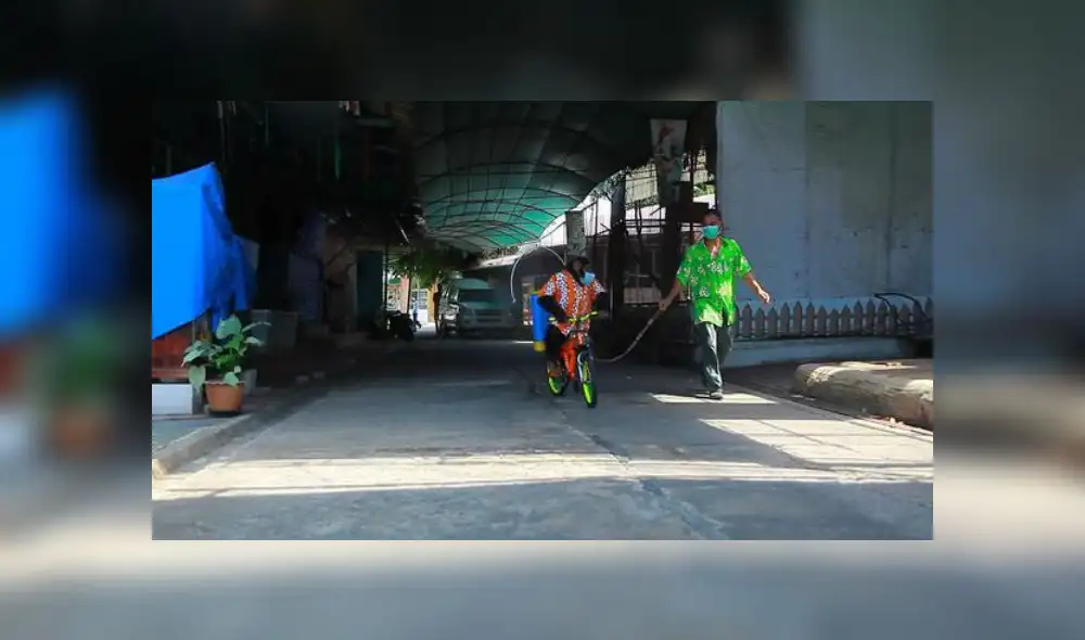 Tailandia: obligan a un mono a desinfectar zoológico sobre una bicicleta