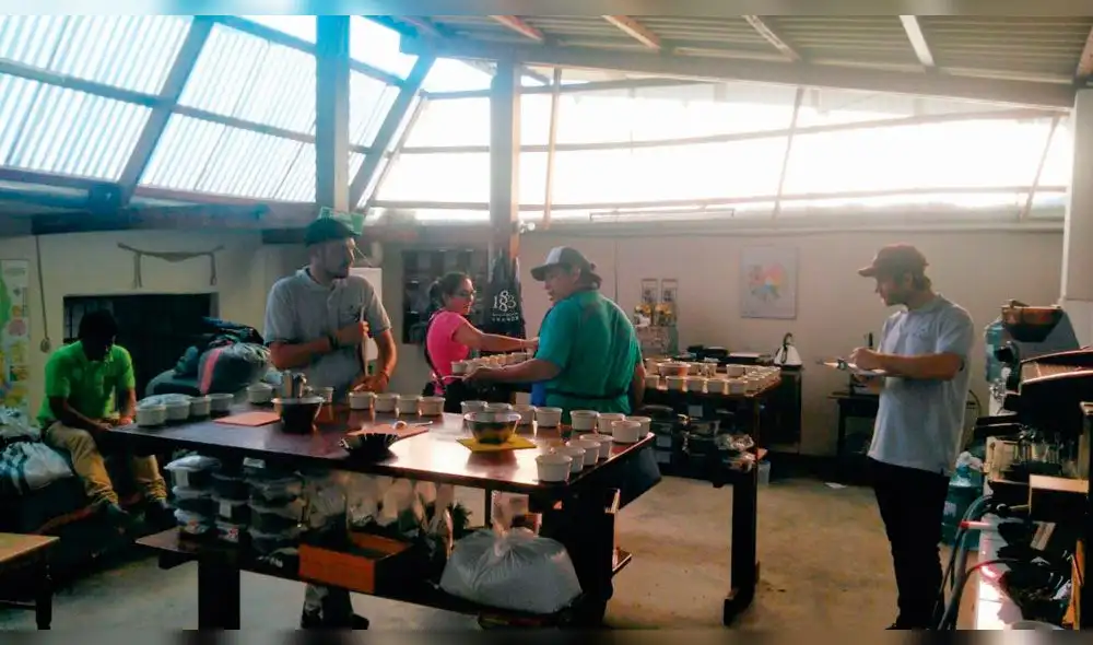 Lanzan I Feria de Cafés Especiales en provincia amazónica