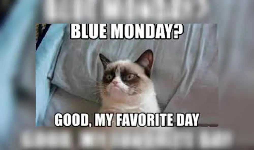 El llamado blue monday, tercer lunes de enero catalogado como el día más triste del año. MEMES.