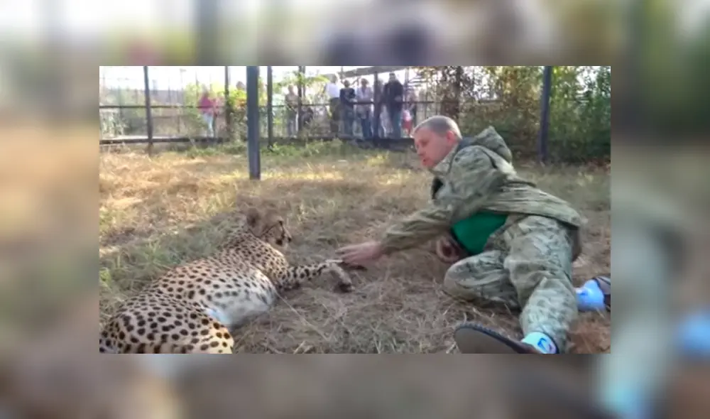 Desliza hacia la izquierda para ver el emotivo reencuentro del guepardo con el hombre. Video viral de Facebook. Desliza hacia la izquierda para ver el emotivo reencuentro del guepardo con el hombre. Video viral de Facebook.