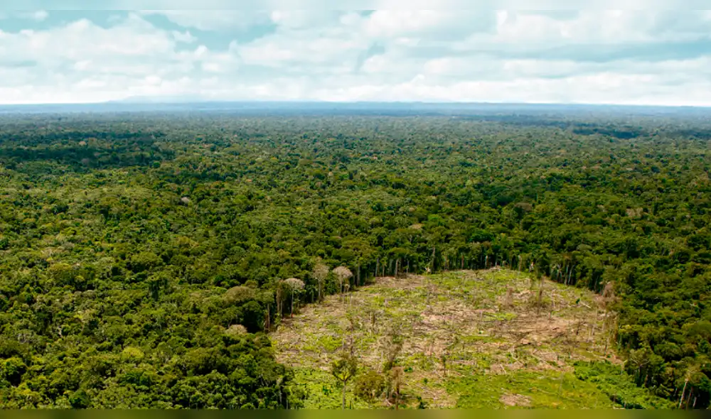 Proponen incluir planes de adaptación y mitigación al cambio climático en Estudios de Impacto Ambiental