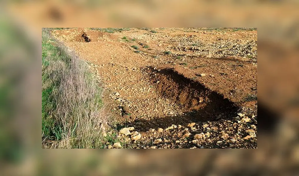 Hallazgo de 42 fósiles. Foto: The Daily Mail.