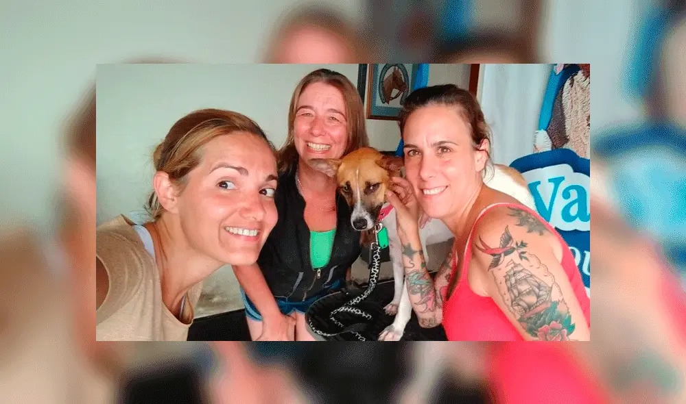 Rescatan a perra que fue maltratada en un tren y esperan que sus dueños la recuperen 