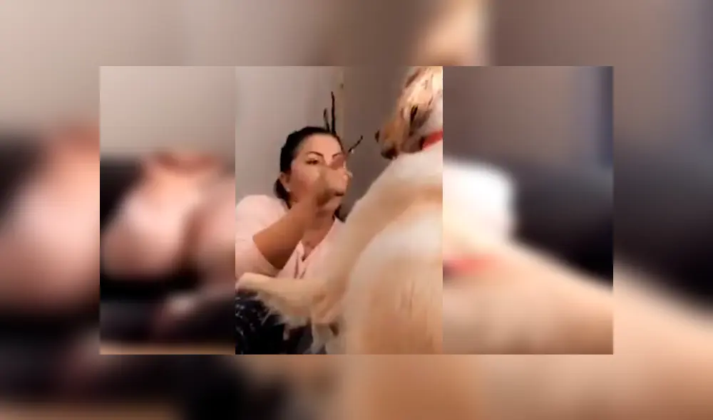 La mujer protagonizó una divertida ‘pelea’ con su perro, luego de que este le respondiera de una peculiar forma cuando lo estaba regañando. La escena se ha hecho viral en Facebook La mujer protagonizó una divertida ‘pelea’ con su perro, luego de que este le respondiera de una peculiar forma cuando lo estaba regañando. La escena se ha hecho viral en Facebook