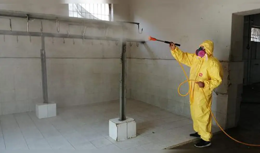 se contó con el apoyo de personal del municipio quienes utilizaron trajes especiales. se contó con el apoyo de personal del municipio quienes utilizaron trajes especiales.