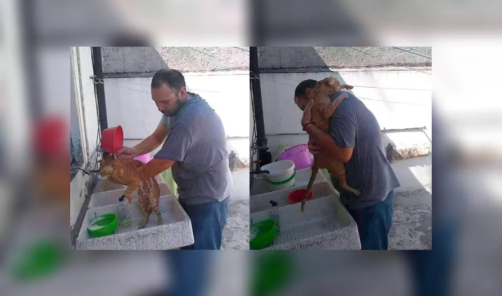 Desliza para ver el desenlace de esta historia de Facebook. Foto: Captura. Desliza para ver el desenlace de esta historia de Facebook. Foto: Captura.